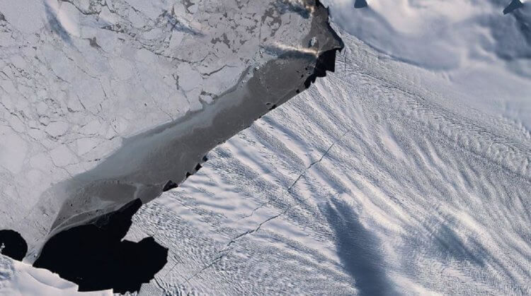 Ледник “Судного дня” готовится отделиться от материка. Ледник Туэйтс может привести к катастрофе глобального масштаба. Фото.