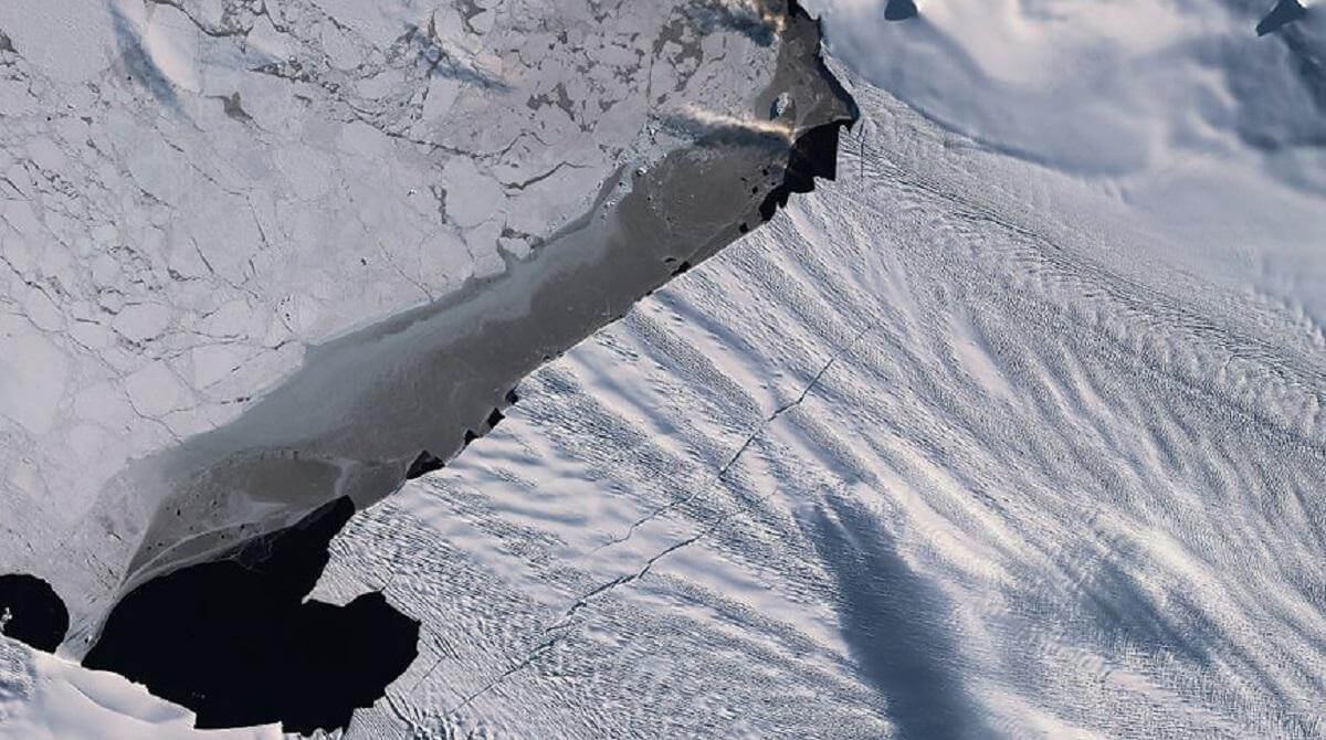 treshina <p>Таяние ледников уже давно не воспринимается чем-то аномальным и удивительным. Этот процесс происходит повсеместно по всей планете. К примеру, в Африке совсем скоро ледников вовсе не останется. Также тает Арктика, но больше всего ученых заботит таяние ледников в Антарктиде. Регулярно мы слышим о том, что тот или иной ледник дал трещину, а затем откололся от материка и отправился в свободное плавание. Порой эти ледники являются настоящими гигантами, однако все они меркнут на фоне ледника Туэйтс. Последний считается самым крупным и самым опасным. Ученые опасаются не только самого по себе его разрушения, но и возможных последствий. Как утверждают эксперты, он может нарушить так называемый баланс ледников, то есть спровоцирует эффект домино, в результате чего в воду “поползут” и другие ледники, расположенные рядом с ним. К сожалению, согласно исследованию американских ученых, разрушение ледника Туэйтс уже вопрос предрешенный. Более того, произойдет это в ближайшие пять лет, что приведет к серьезному повышению уровня моря.