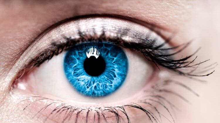 Ученые смогут выявлять риск ранней смерти по глазам. Ученые научились определять биологический возраст человека по сетчатке глаза. Фото.