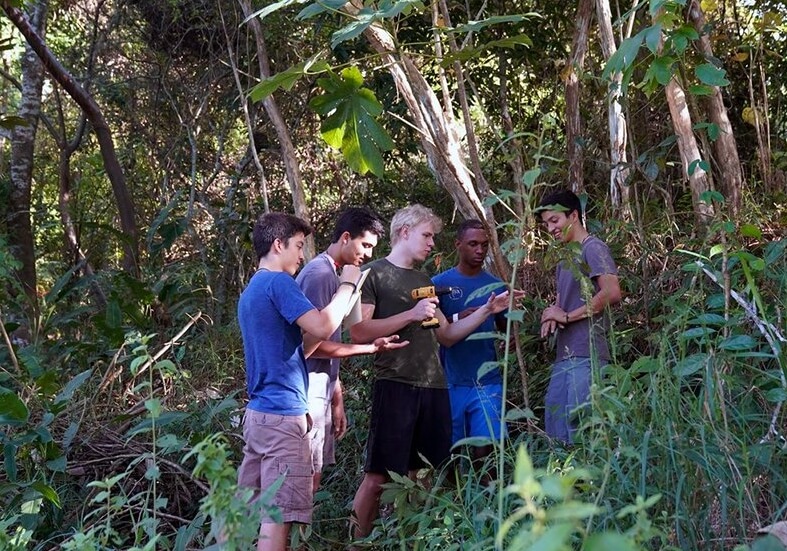 Как муравьи восстанавливают деревья? Молодые исследователи за работой. Фото.