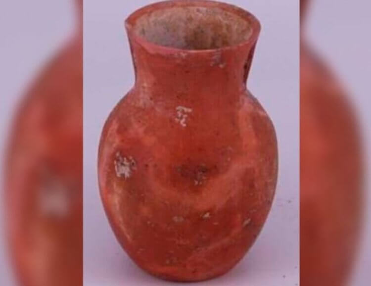 На Кавказе найдены древние «трубочки» для совместного распития пива