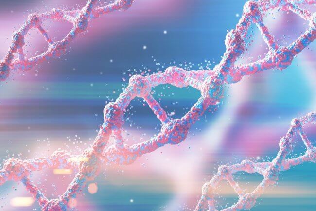 Теория эволюции под угрозой — мутации в ДНК не являются случайностью. Фото.