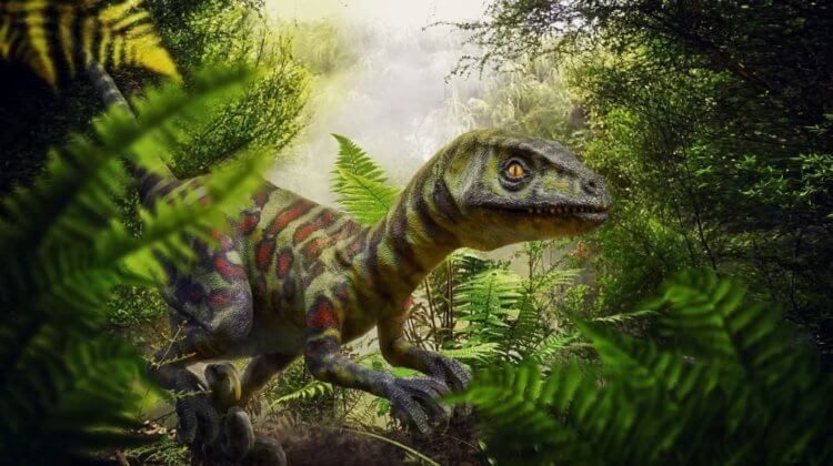 Последствия падения астероида. Во времена динозавров на Земле преимущественно росли папоротники. Фото.