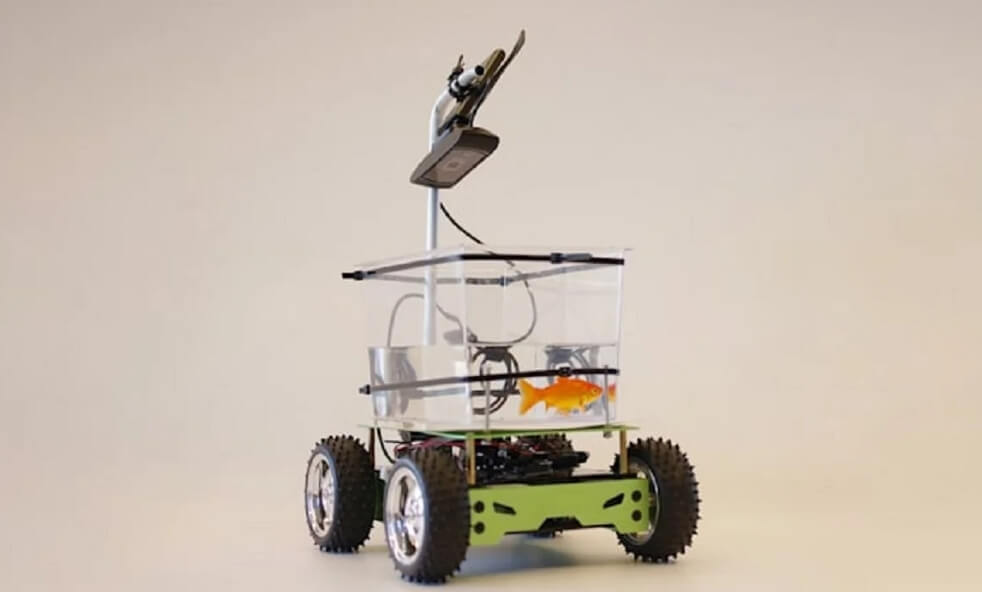 Автомобиль для эксперимента с рыбками. Автомобиль, созданный для золотых рыбок. Фото.