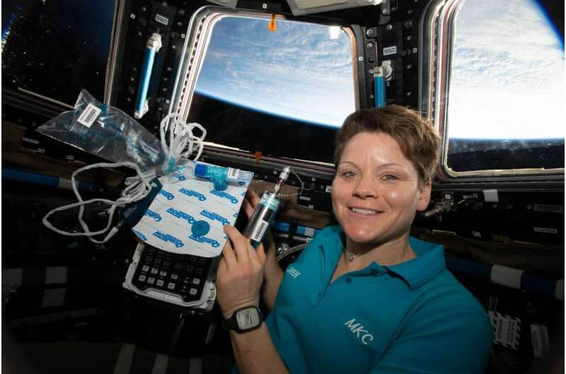 Как развивается космическая анемия. Исследование показало, что космическая анемия одинаково развивается у мужчин и женщин. Фото.