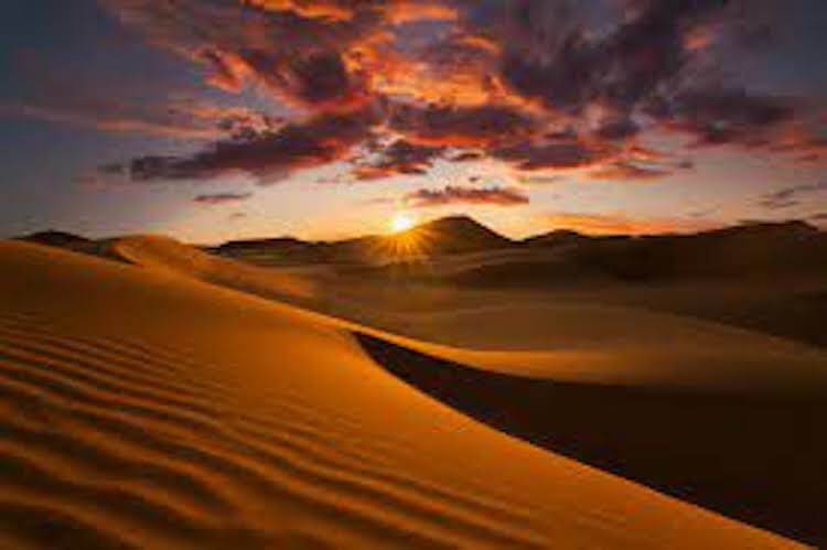 Зачем в пустыню завозят песок и почему он может стать важнее нефти. Песка в пустыне много, но иногда его завозят еще. Фото.
