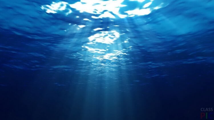 В океане нашли микробов, которые воспроизводят кислород без солнечного света. В океане есть микроорганизмы, которые вырабатывают кислород неизвестным науке способом даже в полной темноте. Фото.