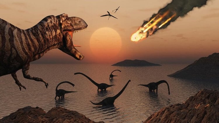 Ученые выяснили в какое время года упал астероид, уничтоживший динозавров. Ученые по окаменелостям рыб определили, в какое время года на Землю упал метеорит, уничтоживший динозавров. Фото.