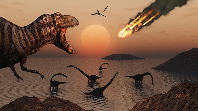 povlekshiy gibe <p>Динозавры вымерли 66 миллионов лет назад в результате падения на Землю большого метеорита. Ученым уже удалось восстановить события и выяснить как это происходило. Однако до последнего момента оставалось загадкой в какое время года произошла катастрофа. Но, похоже, что палеонтологам все же удалось найти ответ. Помогли в этом окаменелости древних рыб обнаруженные на участке Танис, который расположен в формации Хелл-Крик (Северная Дакота). Это одно из немногих мест, где имеется четкая граница между меловым и палеогеновым периодом. Здесь ученым удалось найти множество окаменелостей динозавров, древних растений, первых млекопитающих, рыб и прочих живых организмов. Причем все они отлично сохранились, на некоторых скелетах даже видны остатки мягких тканей. Именно благодаря такой отличной сохранности окаменелостей ученым и удалось найти ответ на интересующий вопрос.