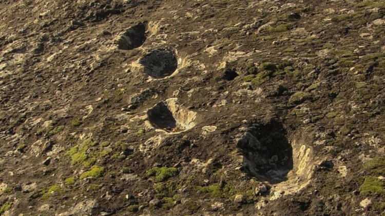 На склоне итальянского вулкана найдены загадочные следы