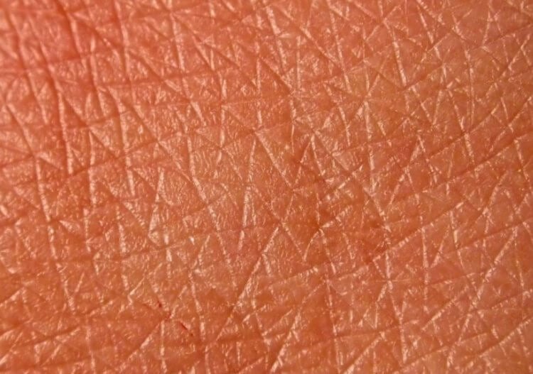 Изучение человеческой кожи. Прямо сейчас по вашей коже ползают миллиарды бактерий. Жутко, но это необходимо. Фото.