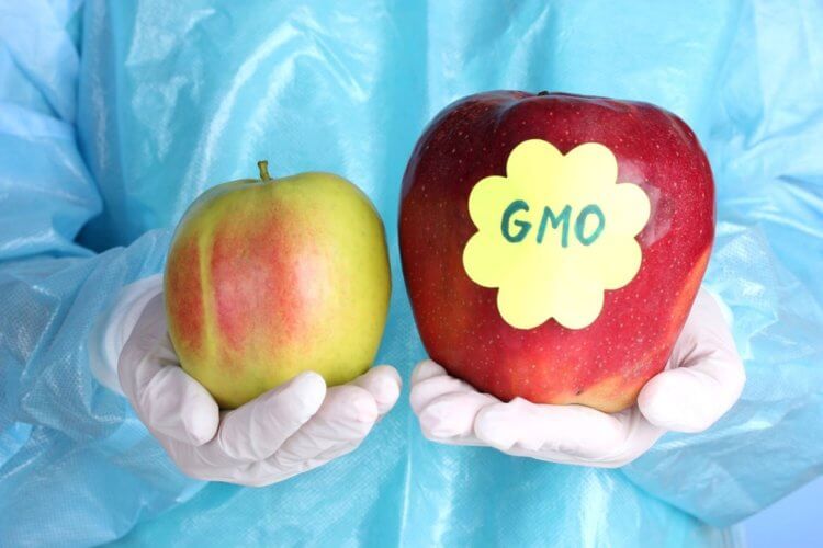 ГМО продукты могут вызвать у человека мутации. ГМО создают действительно ради прибыли. Фото.