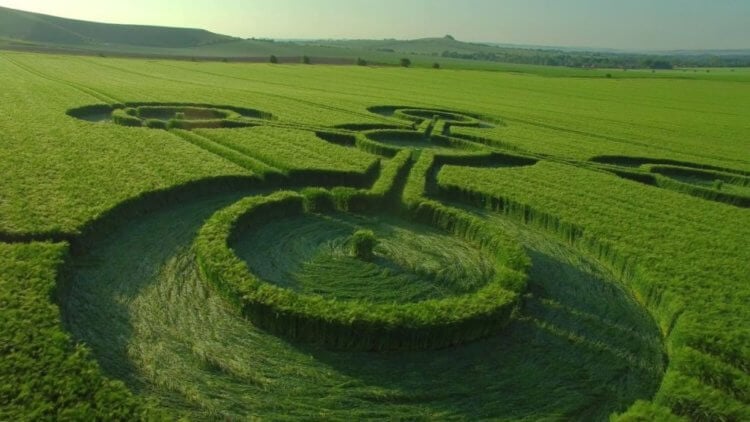 Загадочные круги на полях — мифы и теории их возникновения