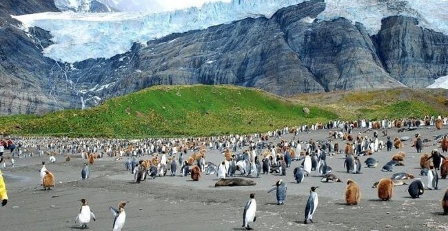 Возле Антарктиды нашли источник загадочного цунами. Фото.