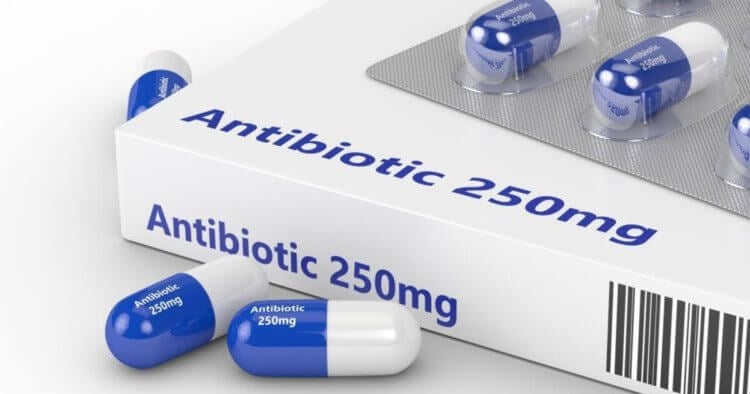 Антибиомания — редкий побочный эффект антибиотиков. После приема антибиотика мужчина начал «разговаривать с Богом». Фото.