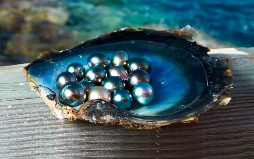 Искусственный остров помогал людям добывать жемчуг. Фото.