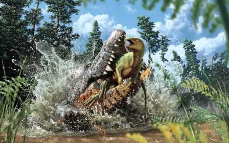 Древние крокодилы могли проглотить целого динозавра. Палеонтологи считают, что древние крокодилы могли проглатывать динозавров целиком. Фото.