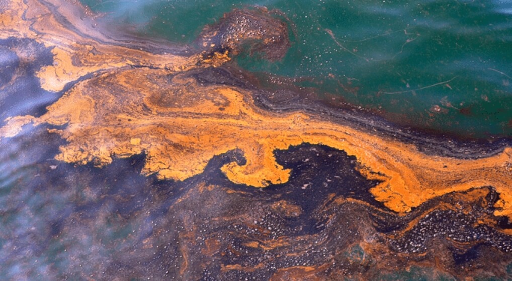 Как люди и природа пытаются очистить Мексиканский залив от нефтяного загрязнения?
