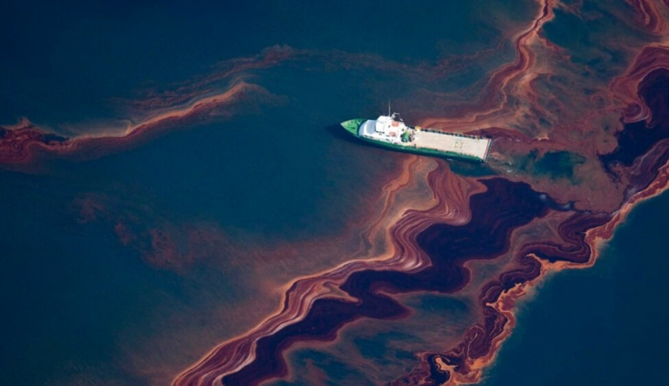 Как люди и природа пытаются очистить Мексиканский залив от нефтяного загрязнения