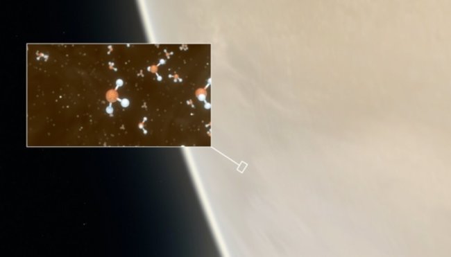 Признаки жизни на далеких планетах. Возможно, на планете Венера есть жизнь. Фото.