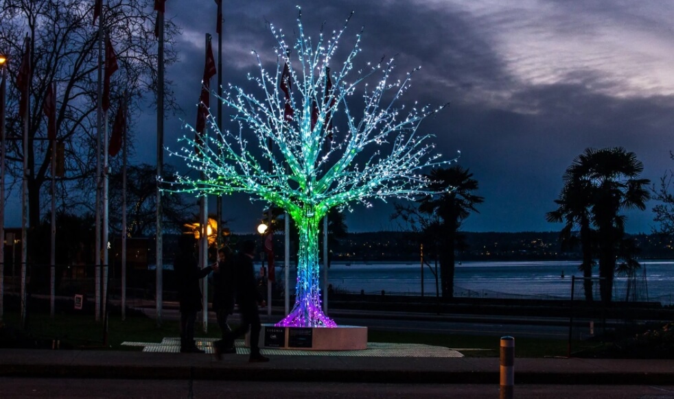 light trees image three <p>Американские ученые из Массачусетского технологического института уже несколько лет пытаются вырастить деревья, которые излучают яркий свет. Предполагается, что в будущем светящиеся растения появятся на улицах городов и начнут использоваться как замена уличным фонарям. Благодаря такому подходу, можно будет сэкономить большое количество электроэнергии, за что природа явно будет нам очень благодарна, потому что нынешние электростанции сильно загрязняют воздух. В 2017 году появилось первое поколение таких растений - листья жерухи обыкновенной были обработаны люциферазой, которая придает светящиеся свойства светлячкам. Листья действительно излучали свет, только вот их яркость оставляла желать лучшего. В прошлом году инженеры увеличили интенсивность свечения настолько, что под светом растений можно было читать книги. Кажется, все идет к тому, что в будущем улицы действительно будут освещаться деревьями.