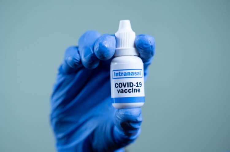 Как работают назальные вакцины и чем они лучше уколов?