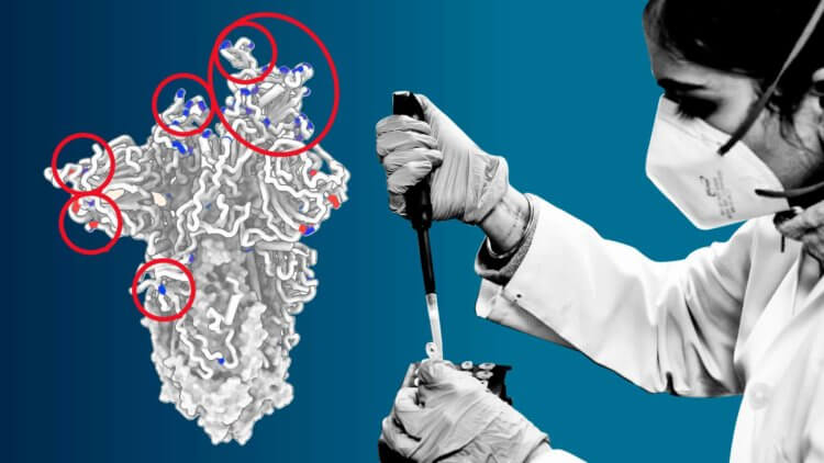 Что происходит: 13 ключевых мутаций Омикрона. Мы изобрели эффективные вакцины, но не смогли обеспечить их справедливое распределение, что привело к усиленной мутации коронавируса. Фото.