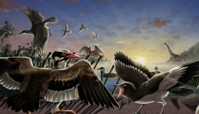 В Китае найдены окаменелости неизвестных науке птиц. Фото.