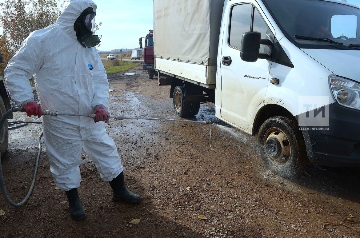 Ящур крайне заразен, поэтому борьбу с ним ведут только в спецзащите. Фото.