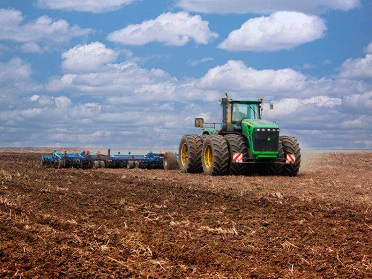 Проблемы с экспортом зерна из Украины. В Украине посевная компания скорее всего не начнется в полном объеме. Фото.