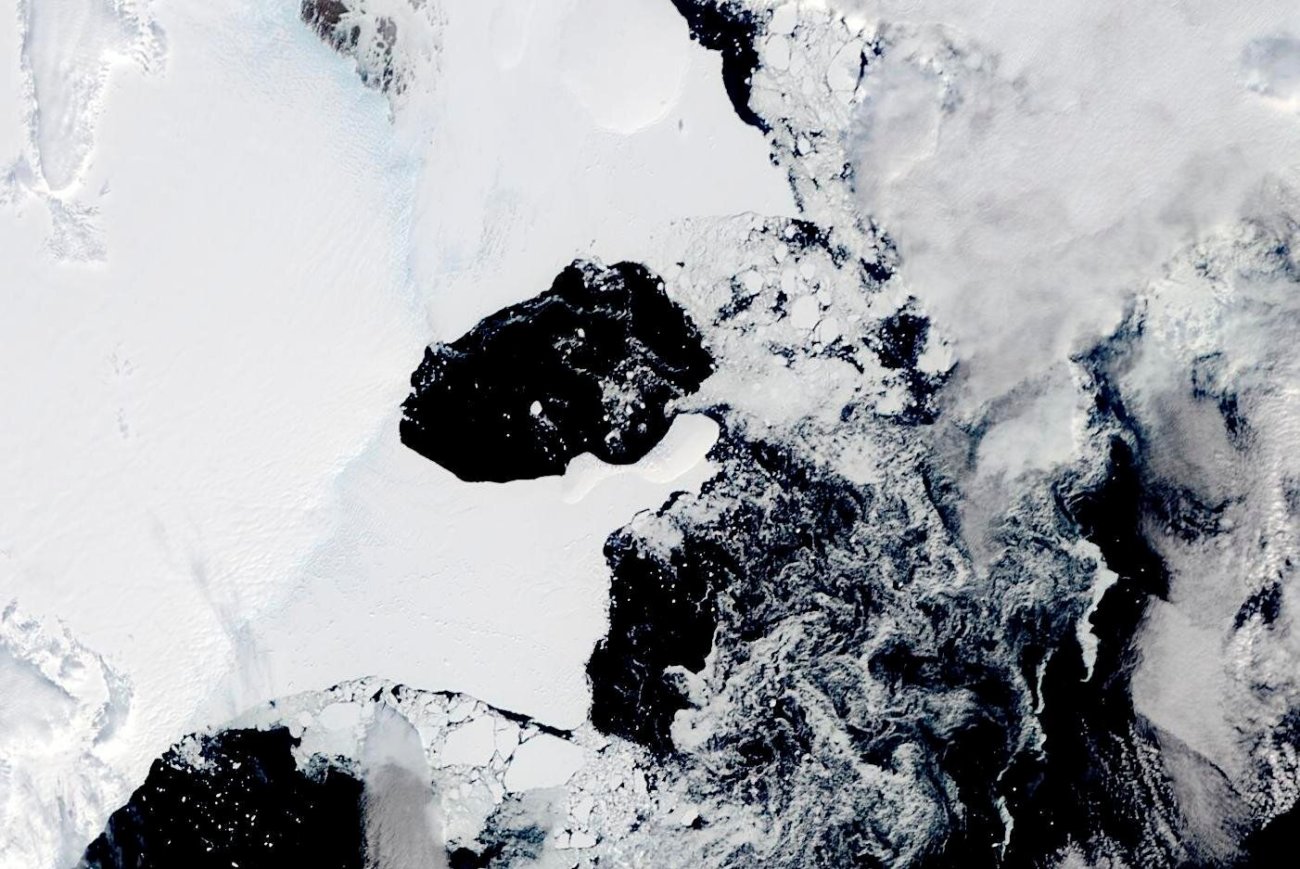 В Антарктиде обрушился в воду огромный шельфовый ледник   — чем это грозит человечеству?