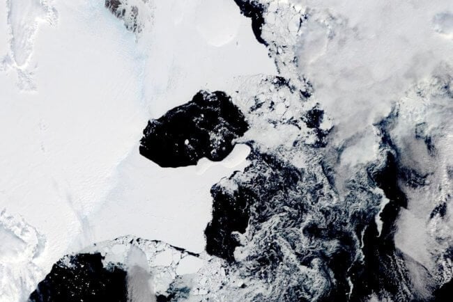 В Антарктиде обрушился в воду огромный шельфовый ледник — чем это грозит человечеству? Фото.