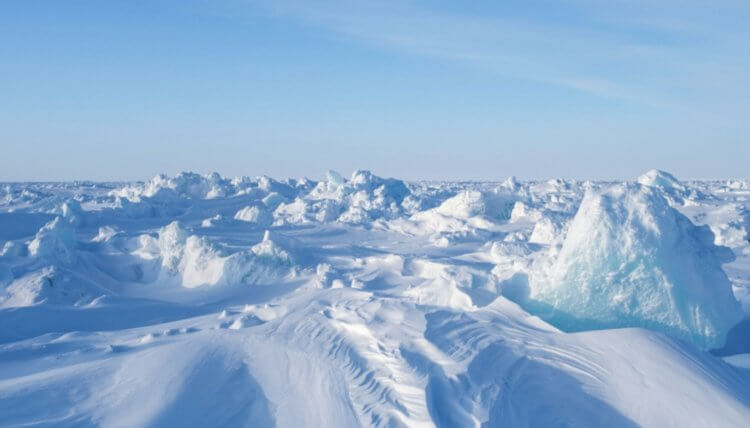 Арктический лед тает с пугающей скоростью. К чему это приведет? Таяние льда может стать причиной гибели человечества. Фото.