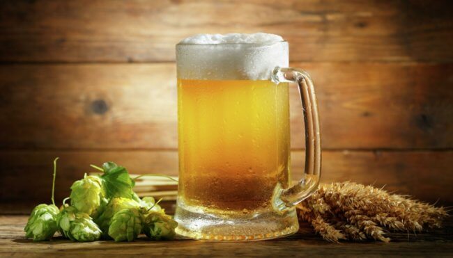 Насколько сильно одна кружка пива в день вредит головному мозгу? Фото.