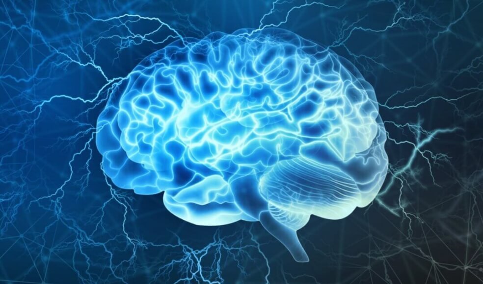 Головной мозг человека из без того со временем стареет, поэтому ученые рекомендуют не усугублять ситуацию алкоголем. Фото.