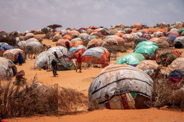 Голодный век. Засуха в Сомали. Миллионы людей не имеют доступа к еде и воде. Фото.