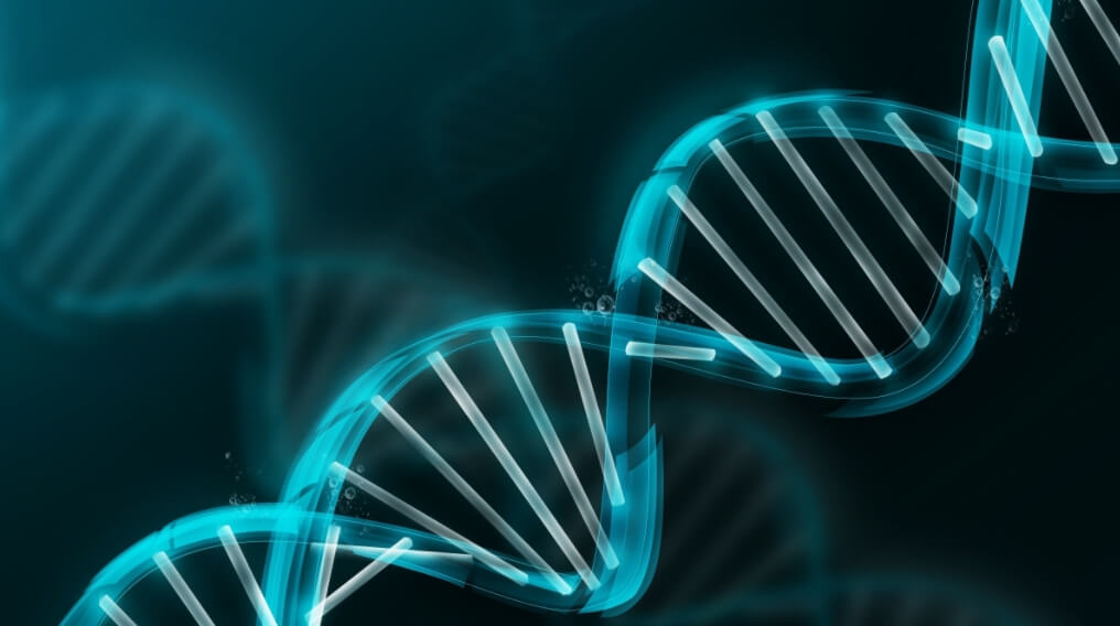 Дорогие лекарства предназначены для лечения генетических заболеваний. Фото.