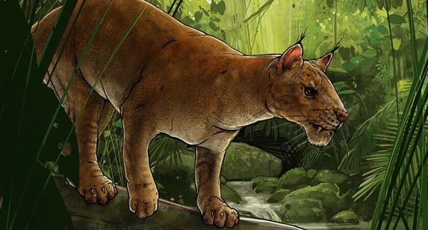 Ученые нашли останки одного из первых настоящих хищников в мире