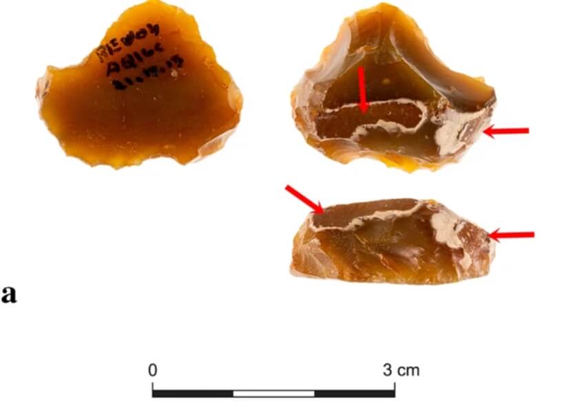 Древние орудия труда были небольшими по размерам. Фото.