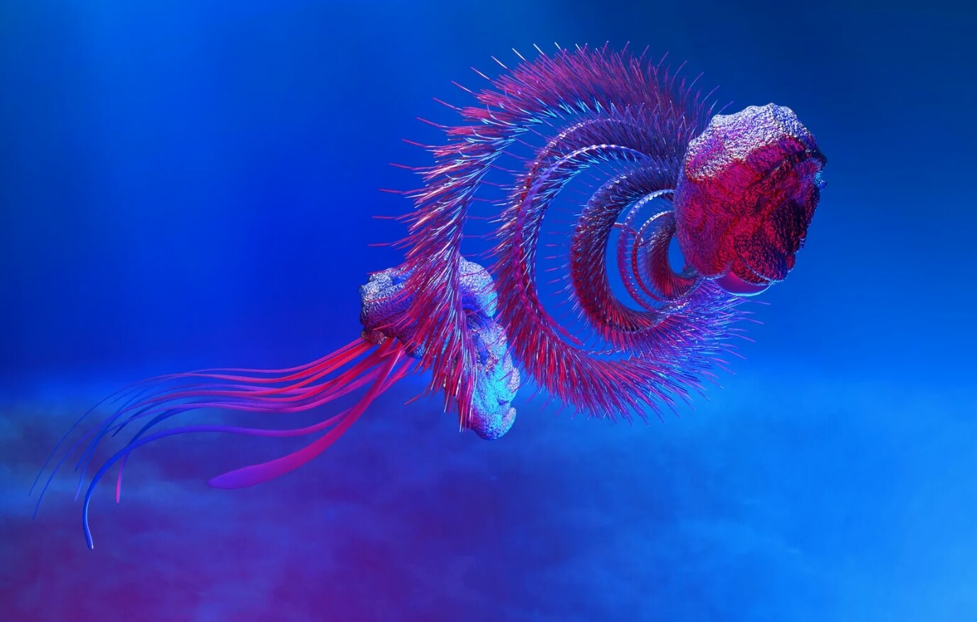 Строение сифонофора. Гигантская сифонофора. Фото.