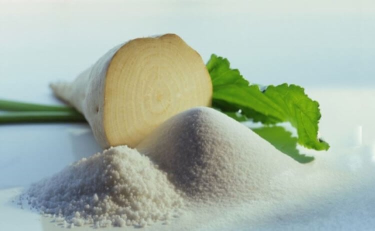 Производство сахара из свеклы. Чаще всего сахар в России производится из свеклы. Фото.