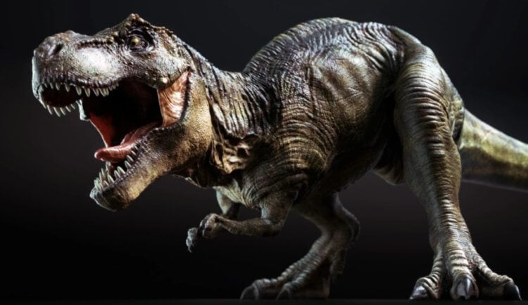 Среди тираннозавров были «короли», «королевы» и «императоры». В чем отличия? Возможно, Tyrannosaurus rex — не единственный вид тираннозавров. Фото.