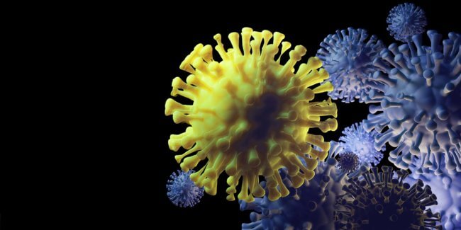 Новые варианты COVID-19. При «стелс-омикроне» наблюдается потеря обоняния. Фото.