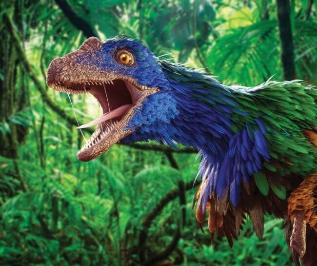 Ученые выяснили какого цвета были динозавры. Фото.