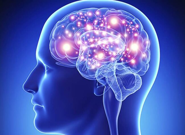 Знание иностранных языков улучшает когнитивные способности человека в целом. Фото.