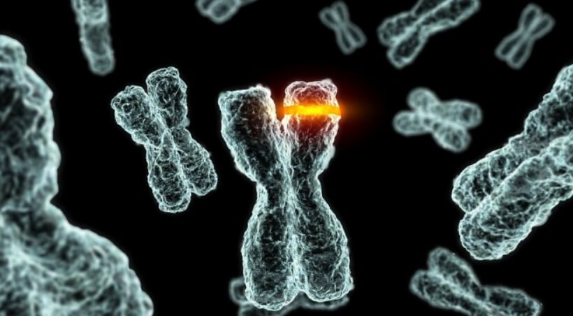 Мутации ДНК влияют на старение организма