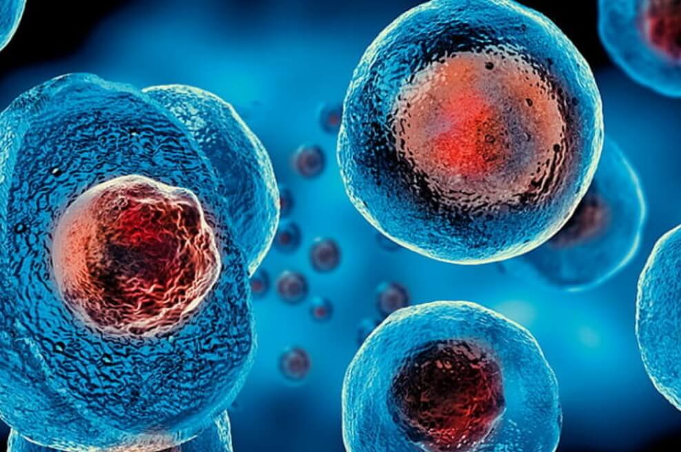 Как накапливаются мутации в организме. В клетках человека за год накапливается от 20 до 50 мутаций. Фото.