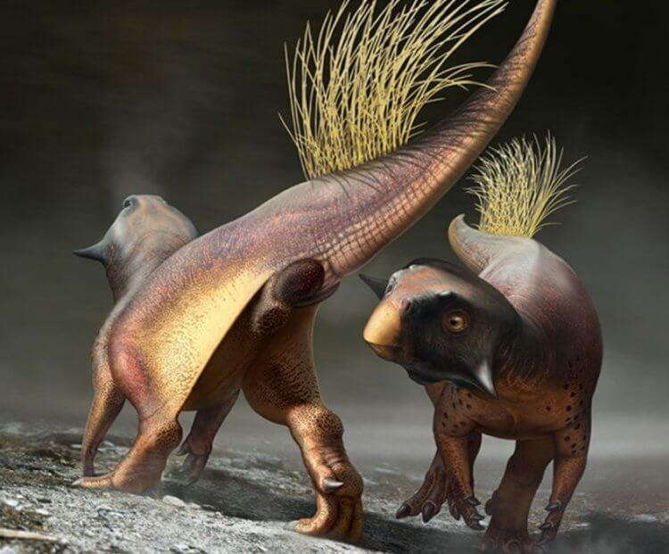 Раскраска динозавров была яркой. Динозавр Psittacosaurus обладал «противотеневой» раскраской. Фото.