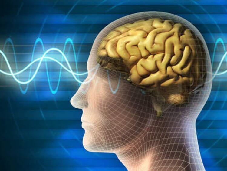 Мозг обрабатывает информацию при помощи микроволн — как это работает? Ученые выяснили, что для обработки информации мозг может использовать волны. Фото.