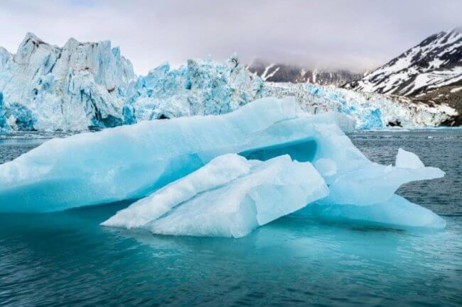 В Антарктиде разрушаются ледники: как быстро поднимется уровень воды. Фото.